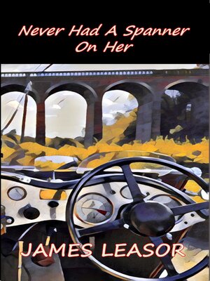 cover image of Never Had a Spanner on Her